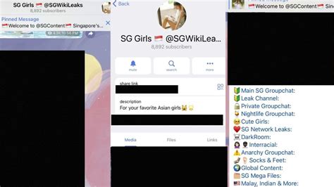 tgydispo|Police investigating obscene Telegram group chat 'SGWikiLeaks'.